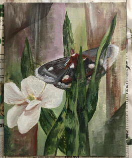 Magnolia and Moth 2020