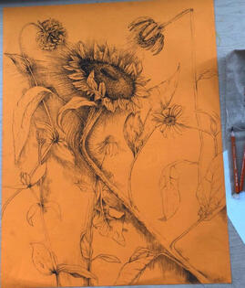 Charcoal Sunflower 2018