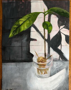 Avocado Sapling Acrylic 2019
