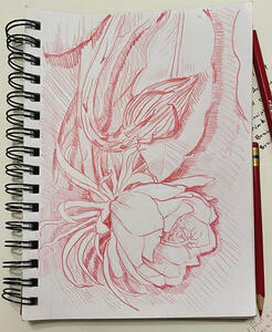 Red Night Blooming Ceres 2021