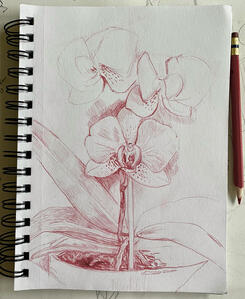 Red Orchids Three 2021