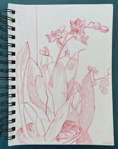 Red Orchids Two 2021