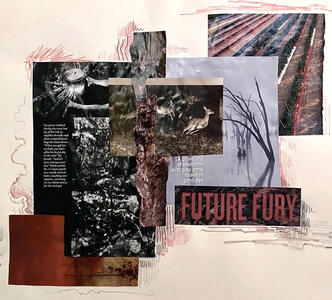 Future Fury